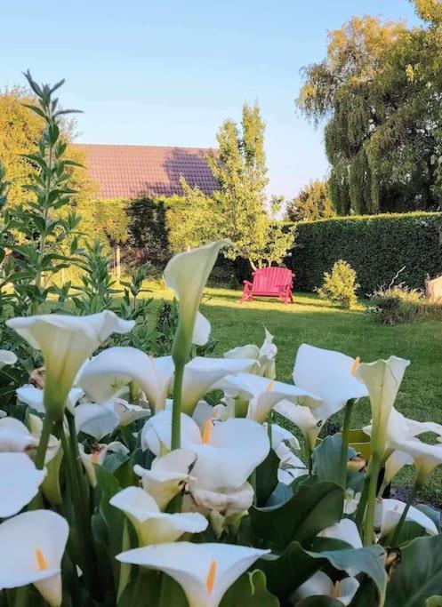 Ardres Le Jardin Des Lacs Gite Nature Et Spa מראה חיצוני תמונה