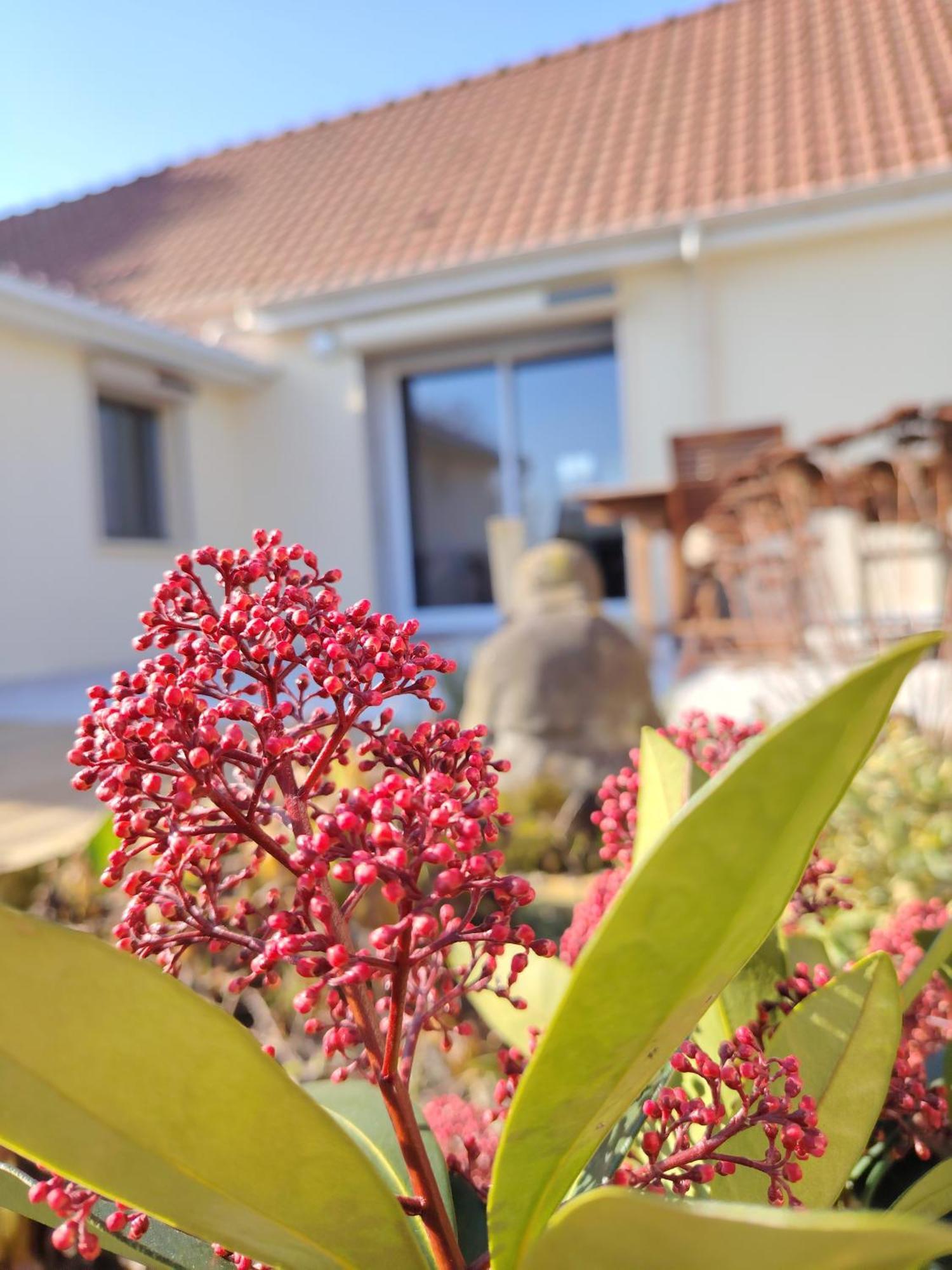 Ardres Le Jardin Des Lacs Gite Nature Et Spa מראה חיצוני תמונה